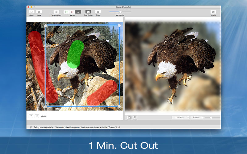 how to remove a background on a picture with graphic converter for mac